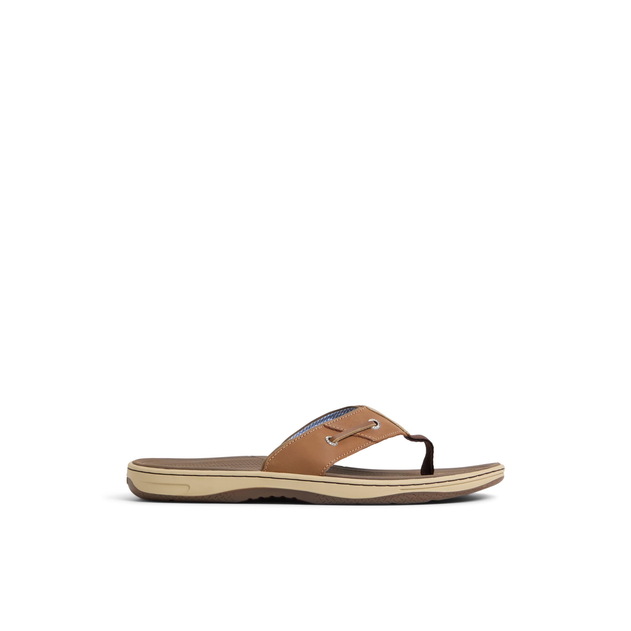 Sperry mens Baitfish