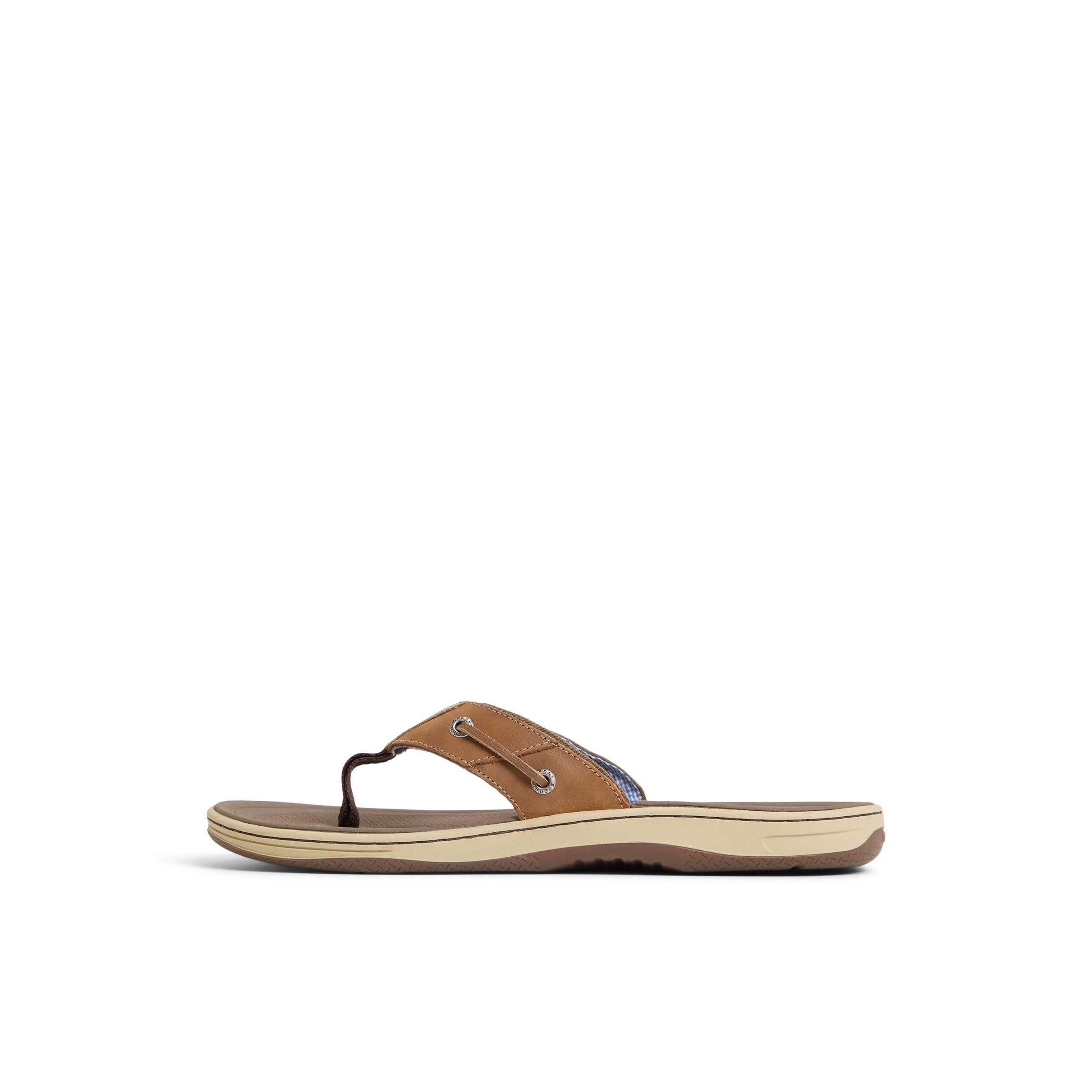 Sperry mens Baitfish