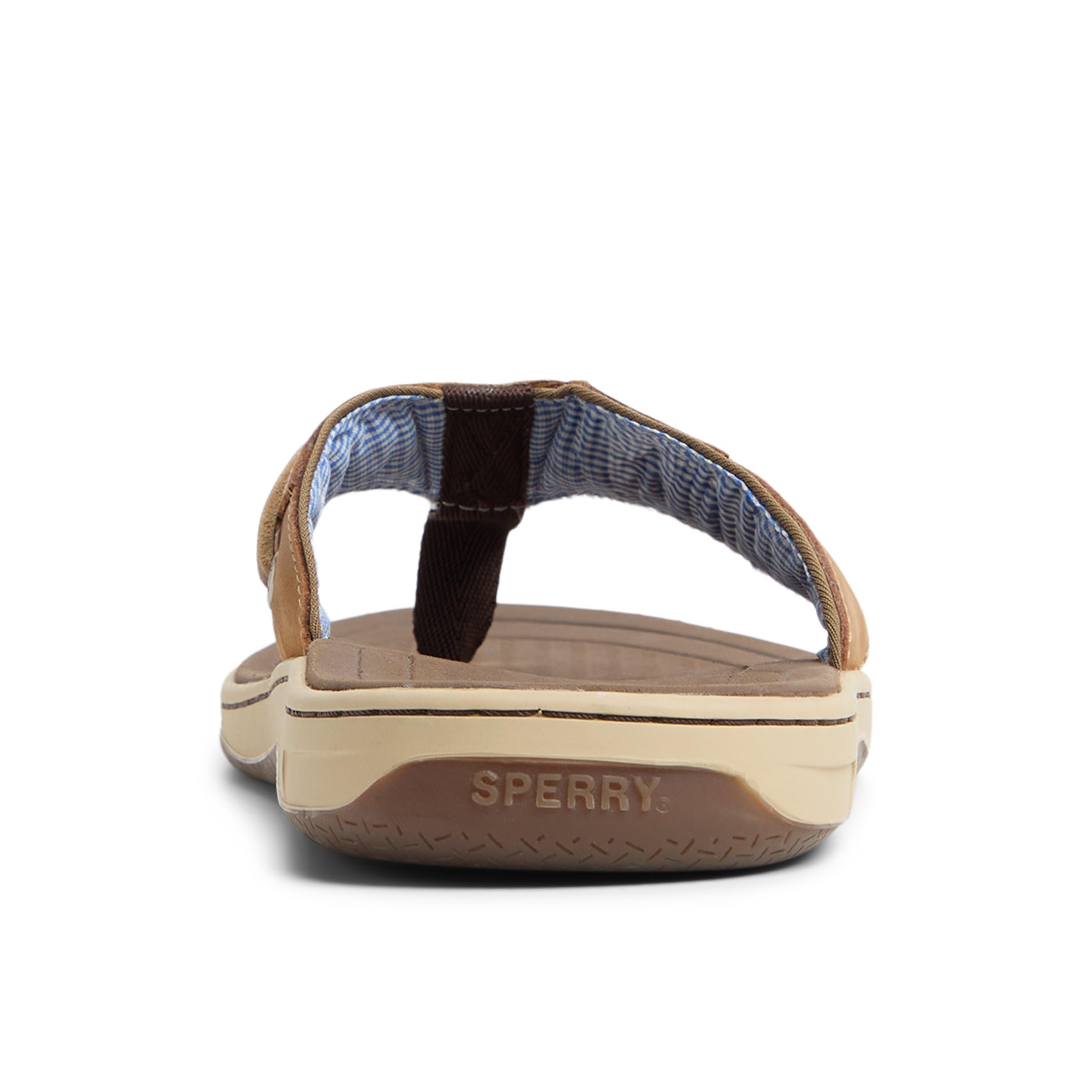 Sperry mens Baitfish